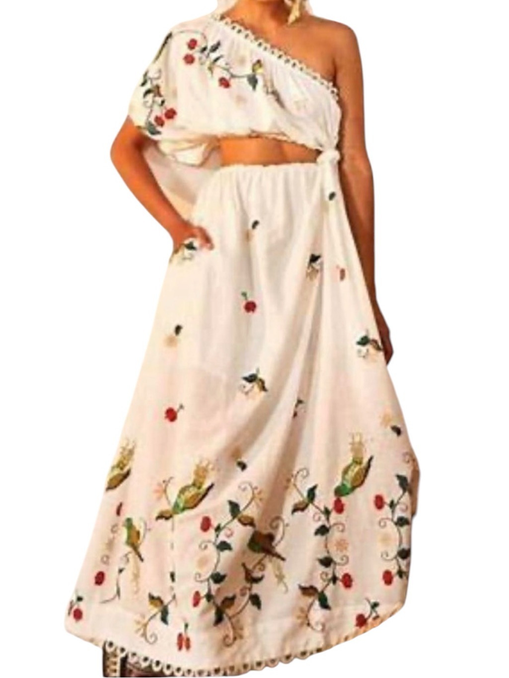 Farm Rio Size Xl Pitanga Maxi Dress White Embroidered Floral Dress One Shoulder